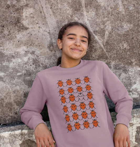 Children's Ladybird Jumper