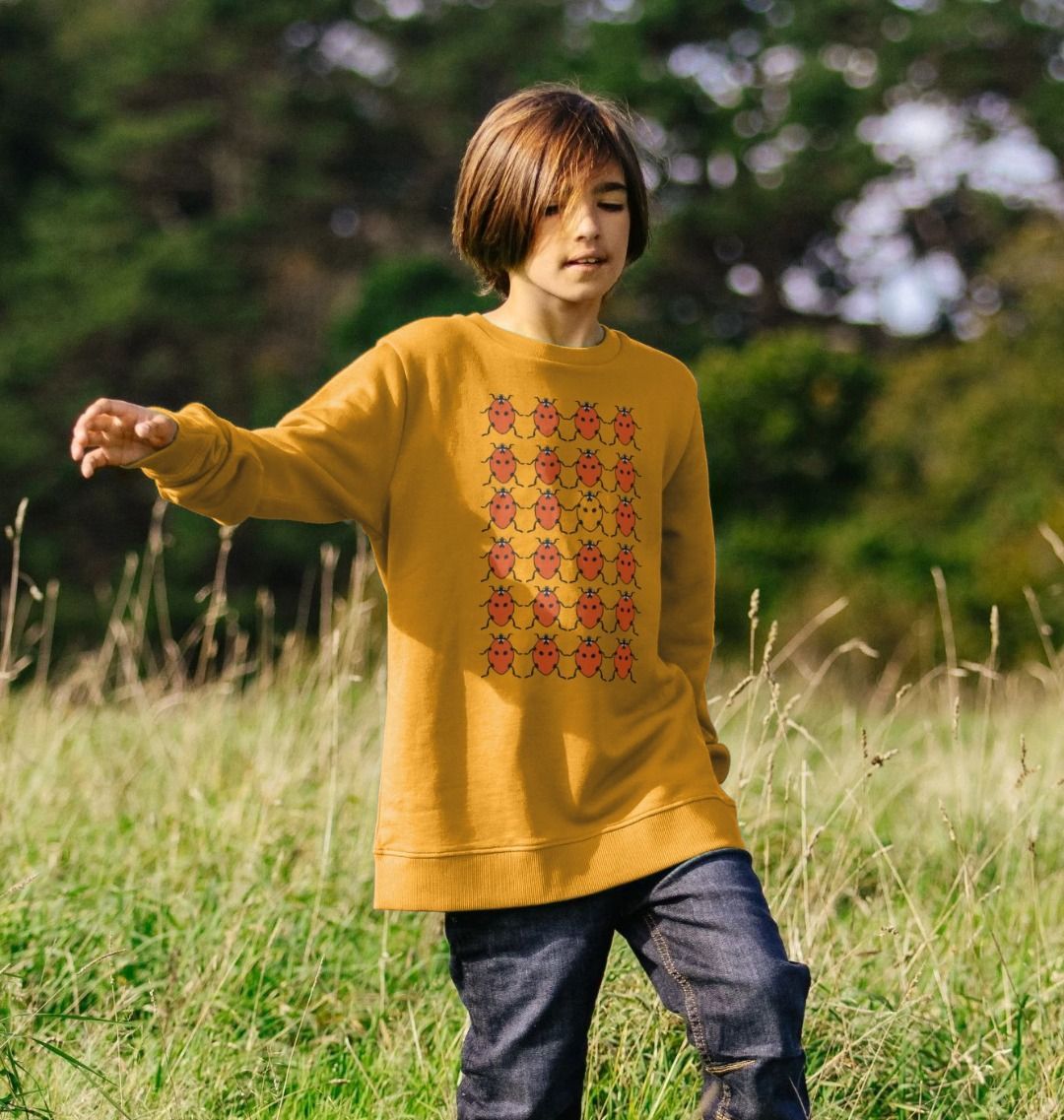 Children's Ladybird Jumper