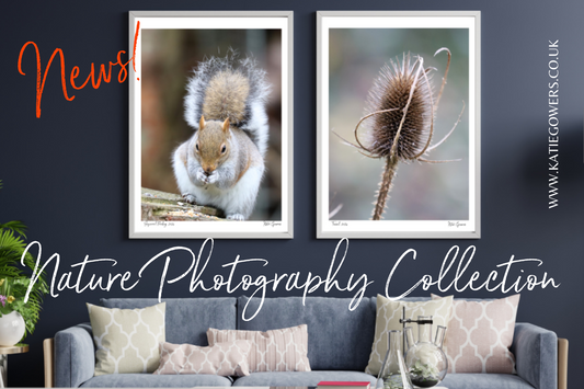 Nature Photography Prints In Store Now!