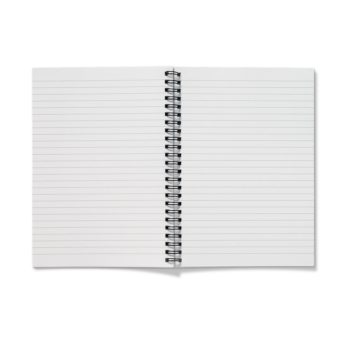 New product [publishing in progress]