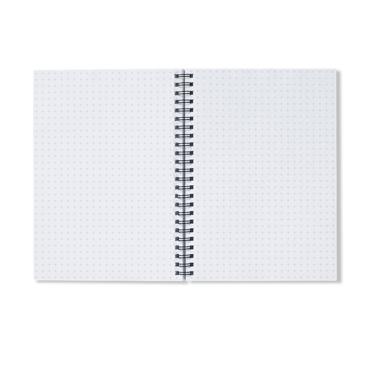 New product [publishing in progress]